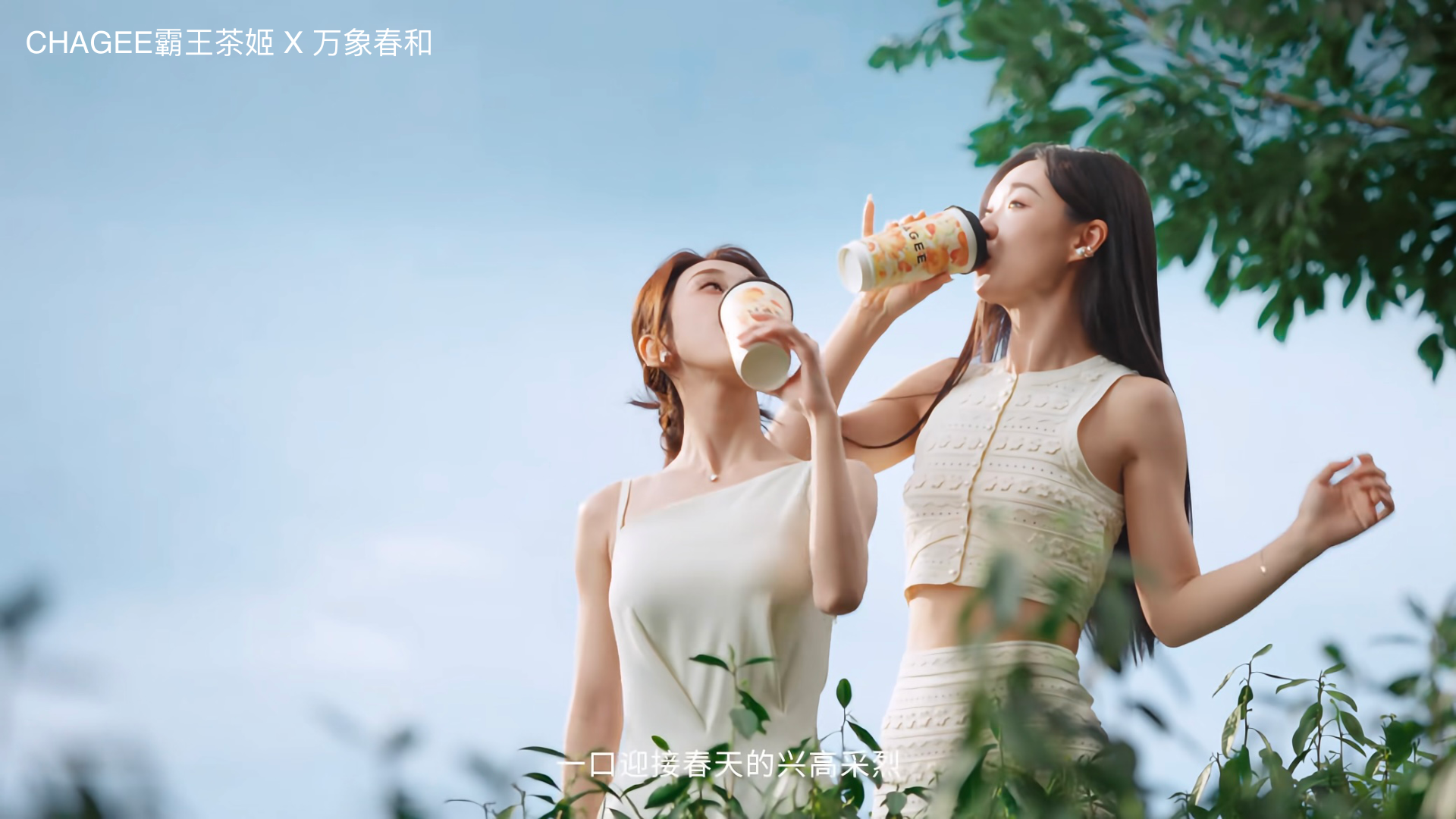 CHAGEE / 万象春和